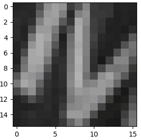 <span class="figure-number">Figure 5: </span>Original image.