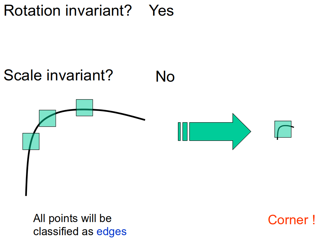 <span class="figure-number">Figure 17: </span>Harris corner detector is not scale invariant. Credit: Kristen Grauman