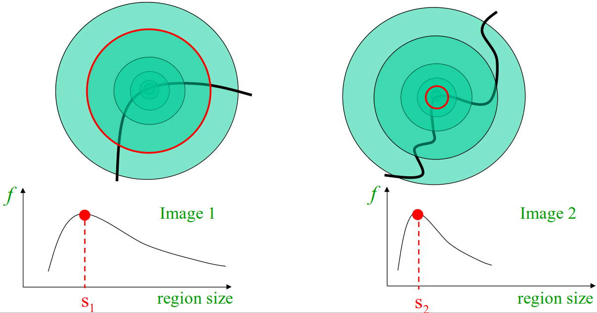 <span class="figure-number">Figure 21: </span>Selecting features at different scales. Credit: Kristen Grauman