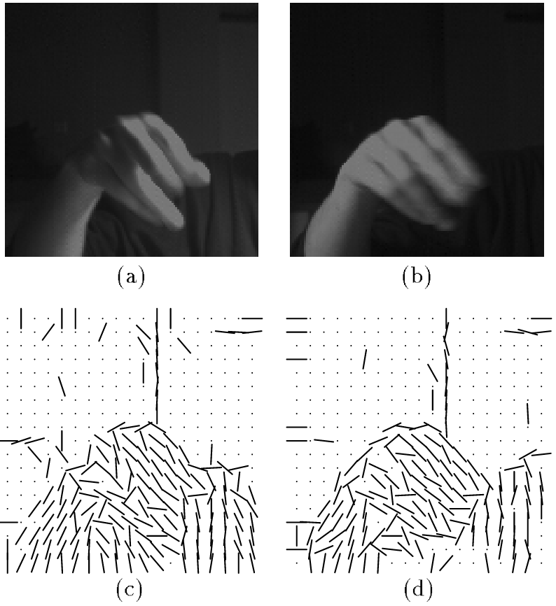 <span class="figure-number">Figure 1: </span>Orientation histograms of hand images.