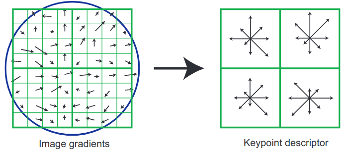 <span class="figure-number">Figure 8: </span>Keypoint descriptor generation (<a href="#citeproc_bib_item_2">Lowe 2004</a>).