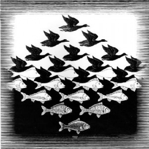 <span class="figure-number">Figure 8: </span>Sky and Water by M.C. Escher