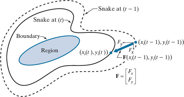 <span class="figure-number">Figure 4: </span>Snake transition between time steps. Source: Pearson Education, Inc.