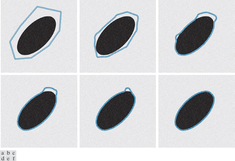 <span class="figure-number">Figure 3: </span>From top left to bottom right: initial snake, 10 steps, 50, 100, 150, 200. Source: Pearson Education, Inc.