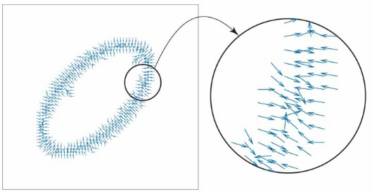 <span class="figure-number">Figure 2: </span>Force field using the edge map using normalized gradients. Source: Pearson Education, Inc.