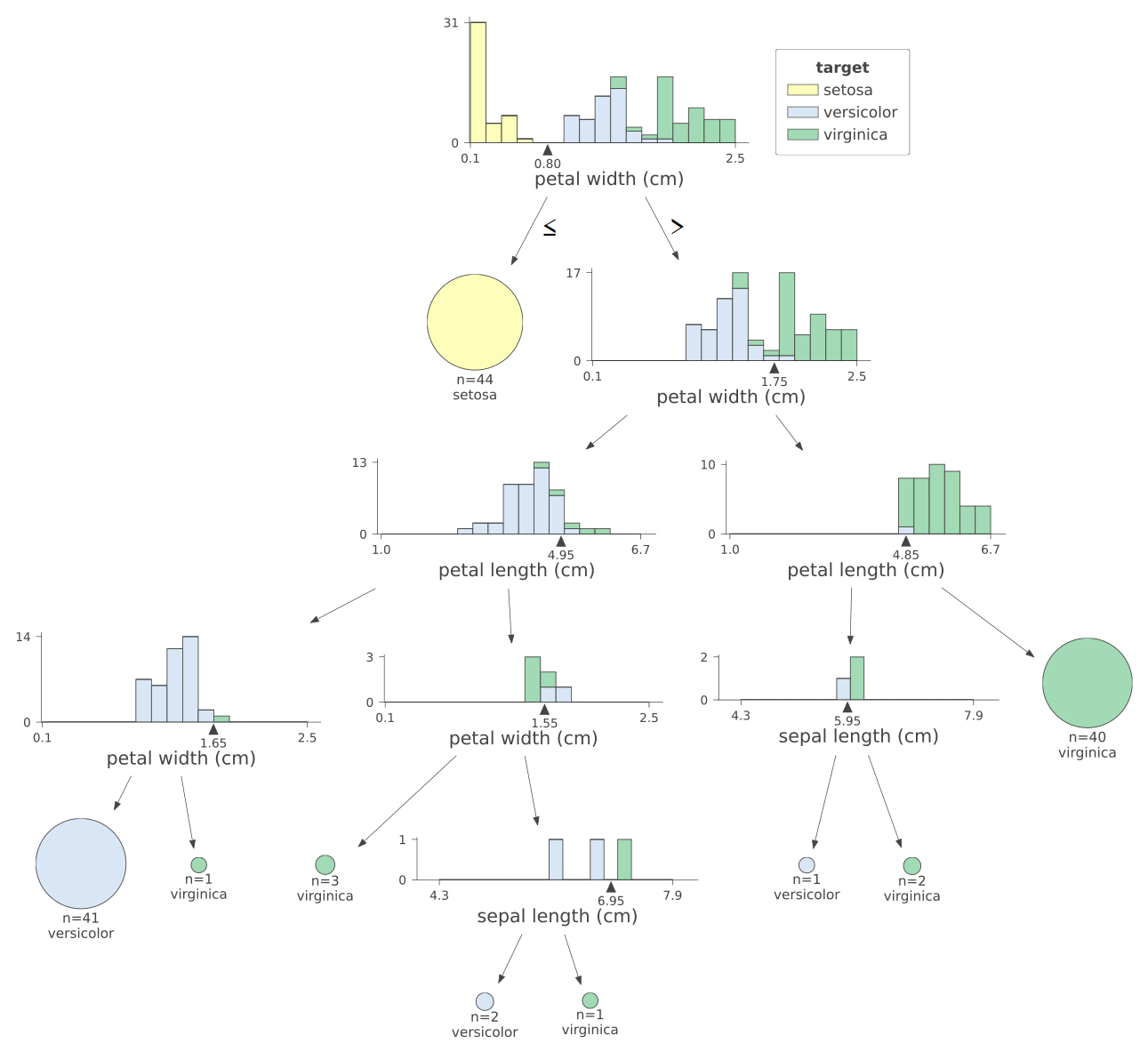 <span class="figure-number">Figure 4: </span>A detailed view of our Iris classifier.