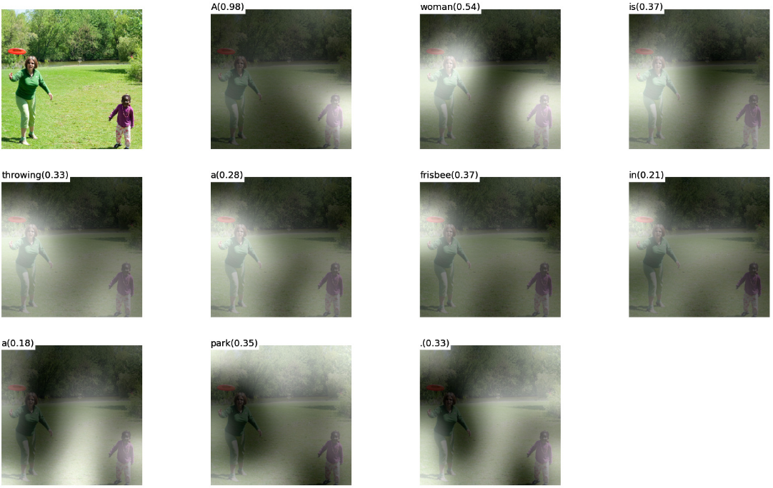 <span class="figure-number">Figure 2: </span>Soft attention for "A woman is throwing a frisbee in a park." (Xu et al.)