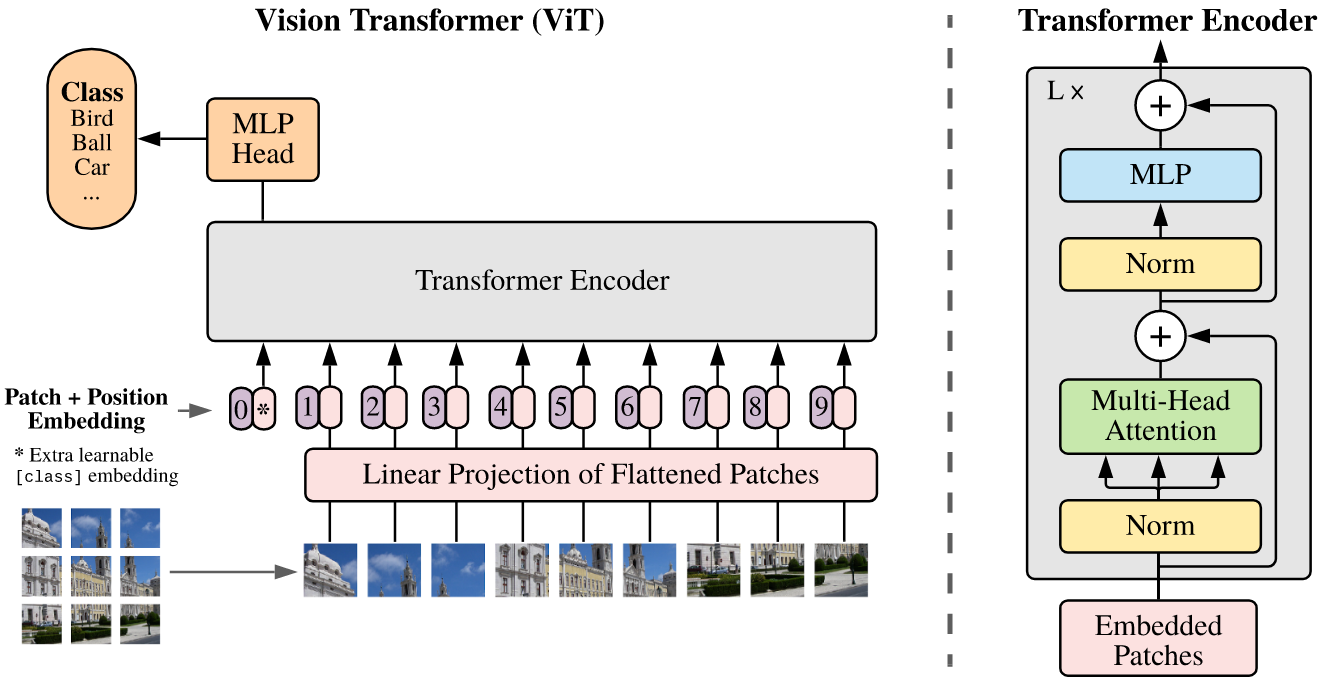 <span class="figure-number">Figure 1: </span>Overview of ViT (<a href="#citeproc_bib_item_2">Dosovitskiy et al. 2021</a>).