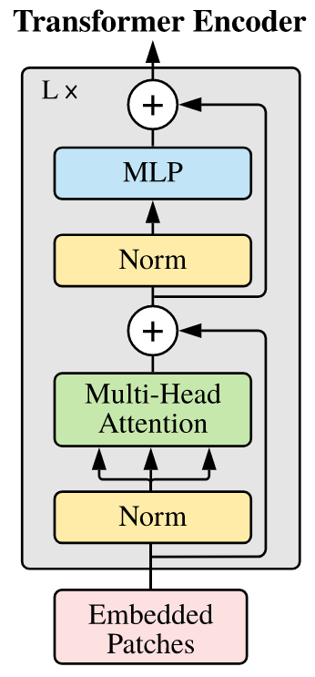 <span class="figure-number">Figure 1: </span>Encoder block (<a href="#citeproc_bib_item_2">Dosovitskiy et al. 2021</a>).